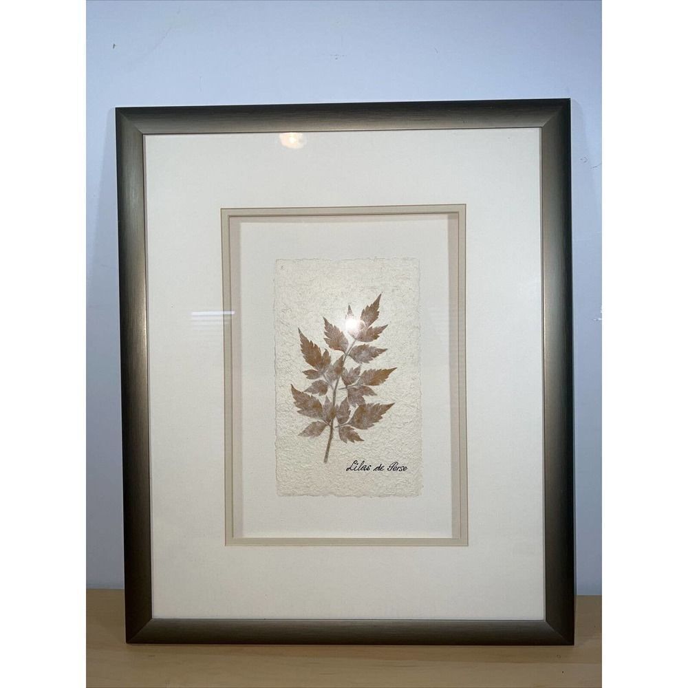 Framed And Matted Lilas De Perse Fern 17” X 20”